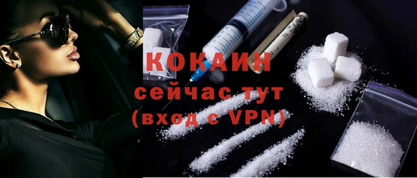 мдпв Гусь-Хрустальный