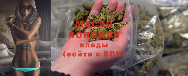 мдпв Гусь-Хрустальный