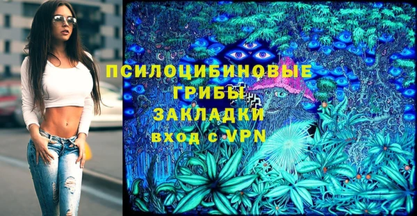 мдпв Гусь-Хрустальный