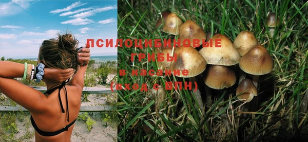 мдпв Гусь-Хрустальный