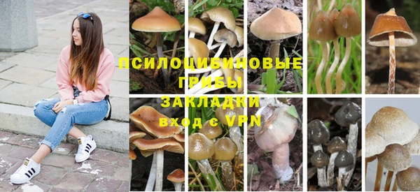 мдпв Гусь-Хрустальный