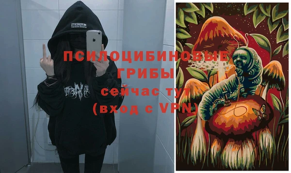 мдпв Гусь-Хрустальный