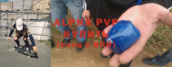 мдпв Гусь-Хрустальный
