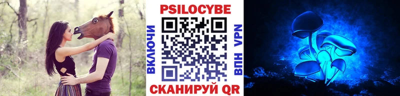Псилоцибиновые грибы GOLDEN TEACHER  Купить где  Севск 